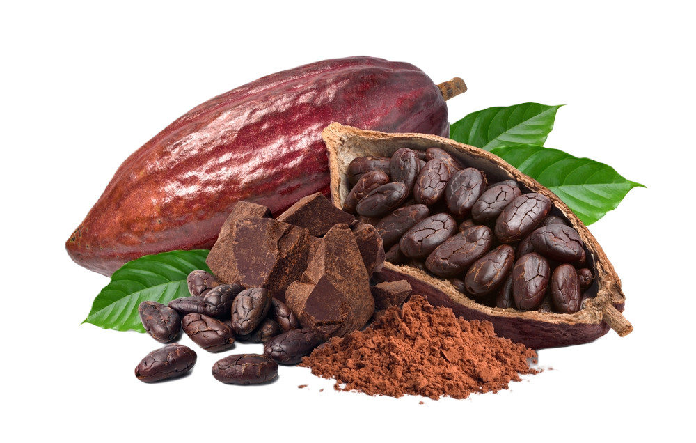 Čokoláda, krémy, kakao 