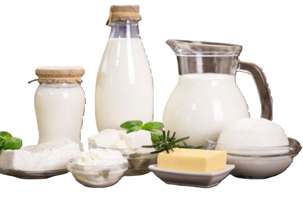 Mliečne výrobky 