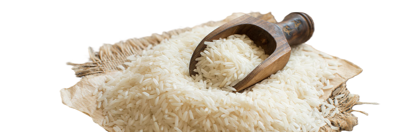 Ryža, Cestoviny 