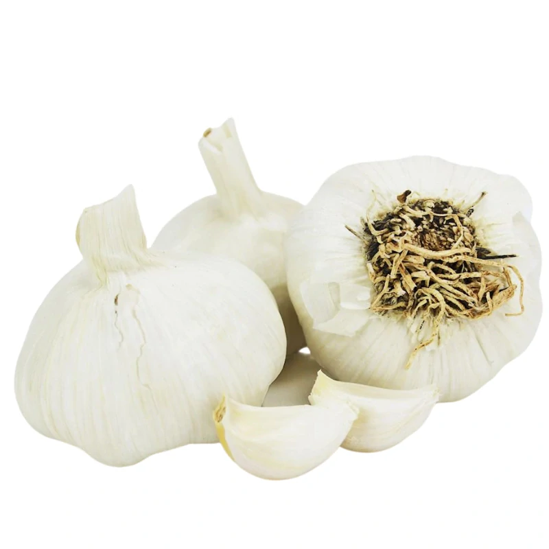 CESNAK BIO 1kg