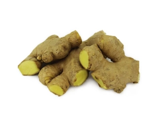 ZÁZVOR ČERSTVÝ BIO 1kg