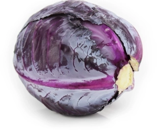 ČERVENÁ KAPUSTA HLÁVKOVÁ BIO 1kg